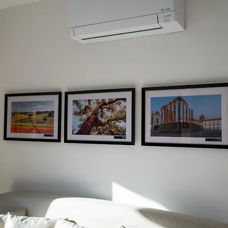 Refugio Da Quinta Nere Maitia Apartment Santarem Exterior photo